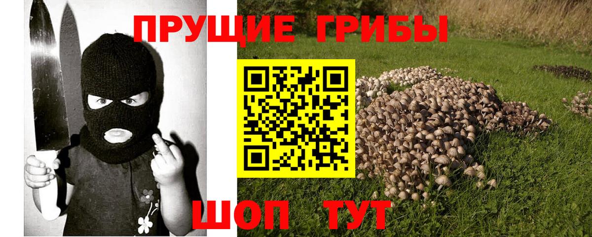 Димитровград  магазин продажи   Вход с VPN  Галлюциногенные грибы Cubensis 