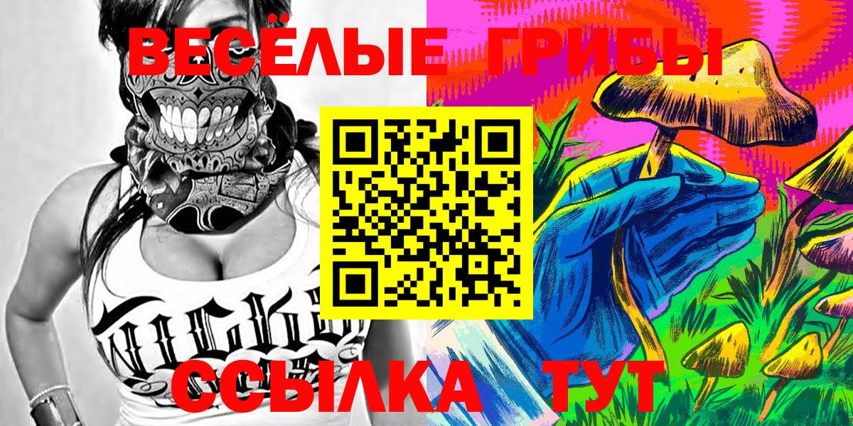 Псилоцибиновые грибы Cubensis Димитровград
